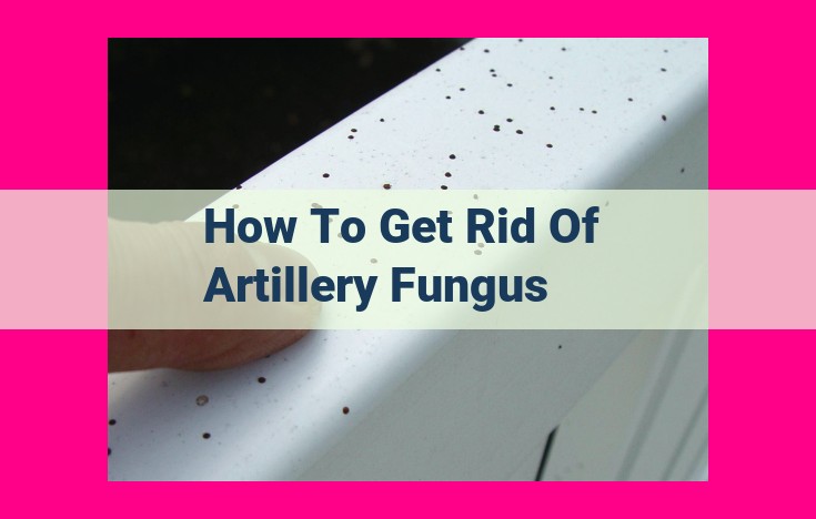 how to get rid of artillery fungus