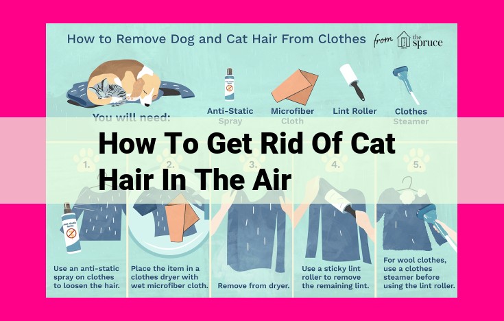 how to get rid of cat hair in the air