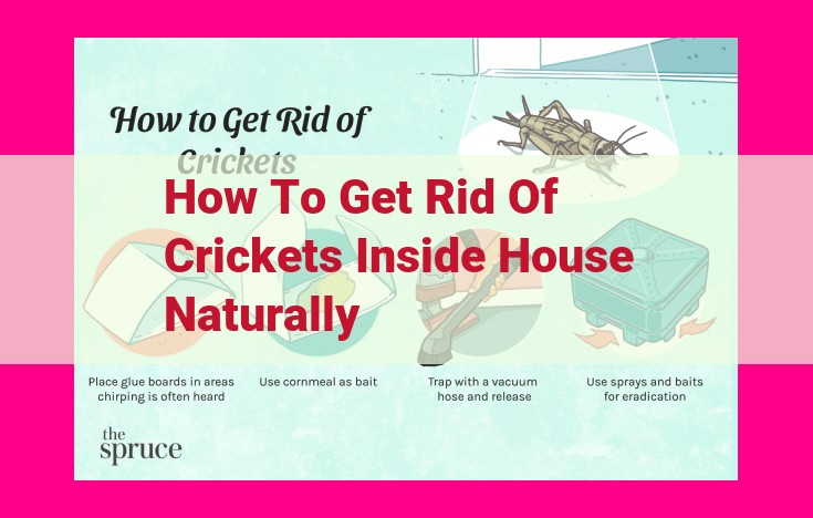 how to get rid of crickets inside house naturally