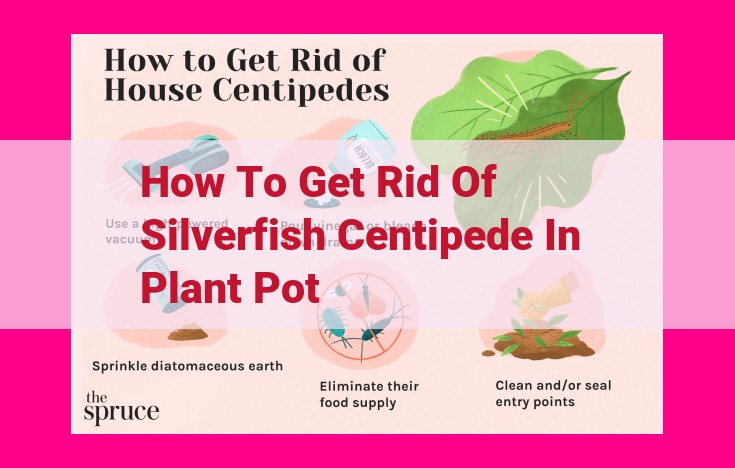 how to get rid of silverfish centipede in plant pot