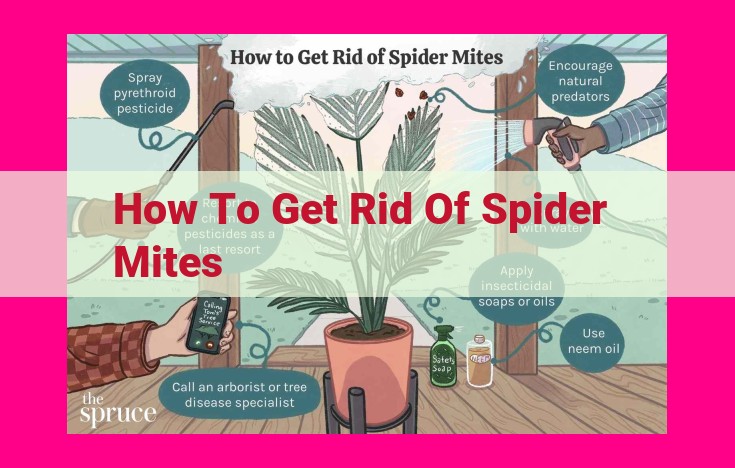 how to get rid of spider mites