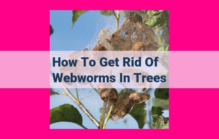 how to get rid of webworms in trees