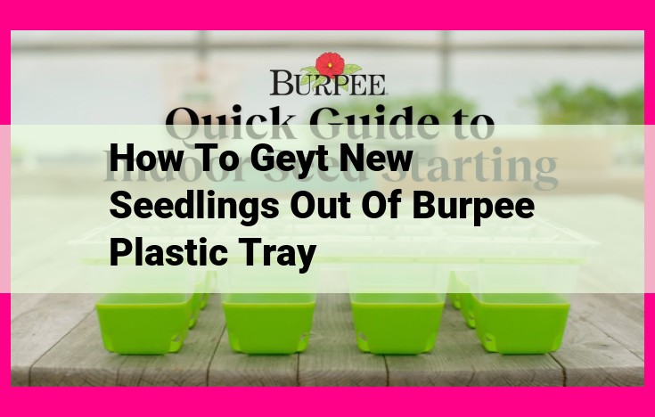 how to geyt new seedlings out of burpee plastic tray