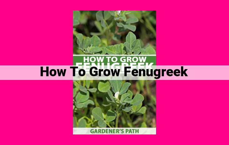 how to grow fenugreek