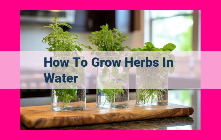 how to grow herbs in water