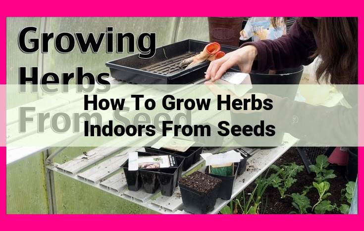 how to grow herbs indoors from seeds