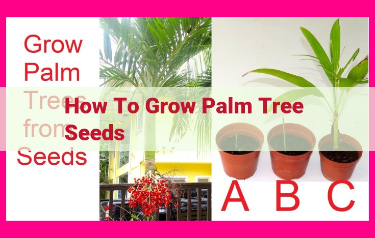 how to grow palm tree seeds