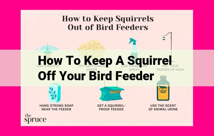 how to keep a squirrel off your bird feeder