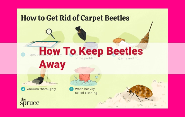 how to keep beetles away