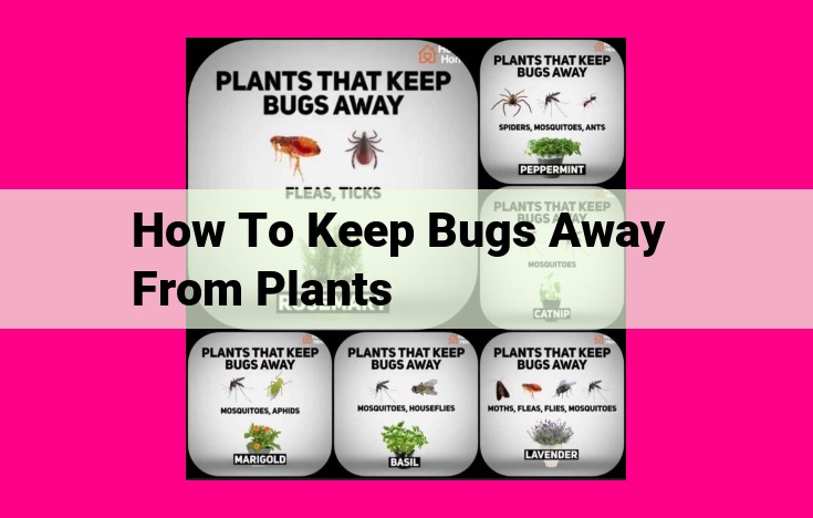 how to keep bugs away from plants