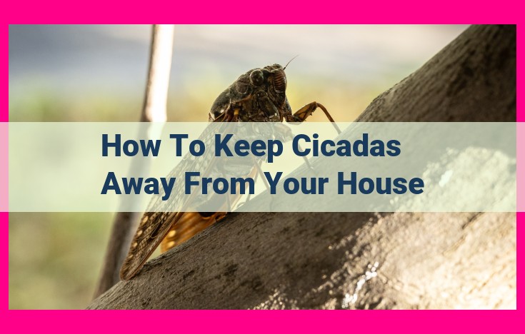 how to keep cicadas away from your house