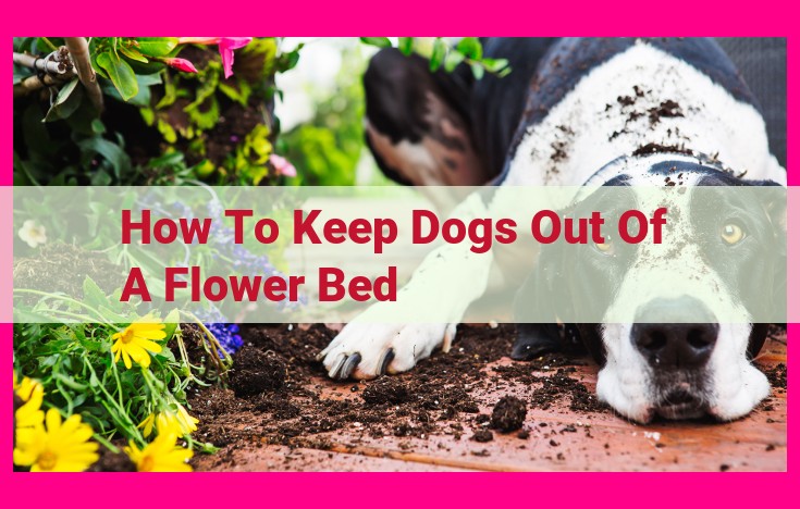 how to keep dogs out of a flower bed