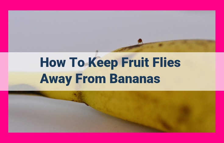 how to keep fruit flies away from bananas