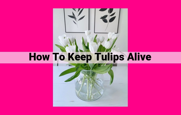 how to keep tulips alive