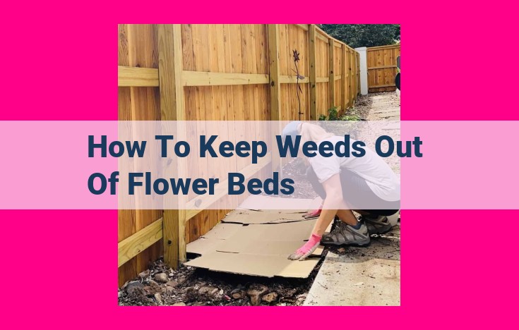 how to keep weeds out of flower beds