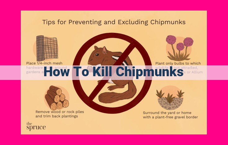 how to kill chipmunks