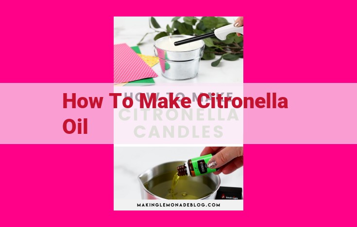 how to make citronella oil