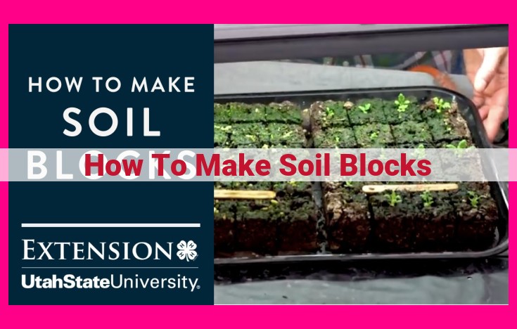 how to make soil blocks