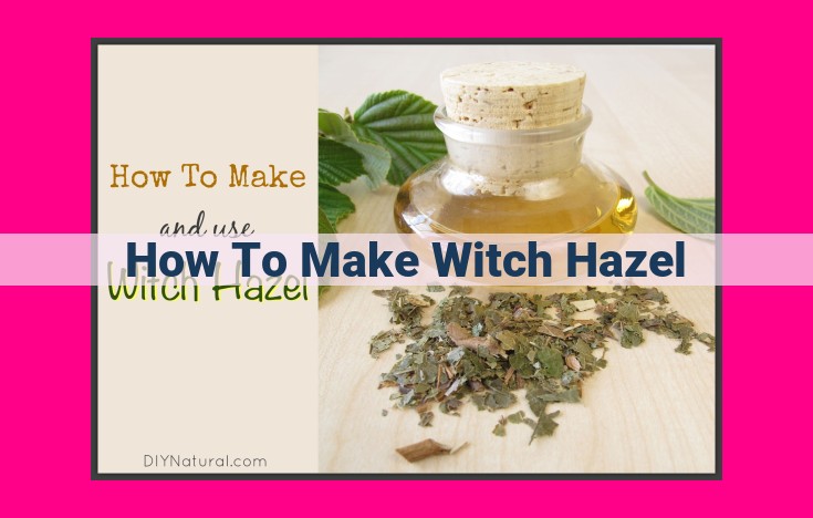 how to make witch hazel