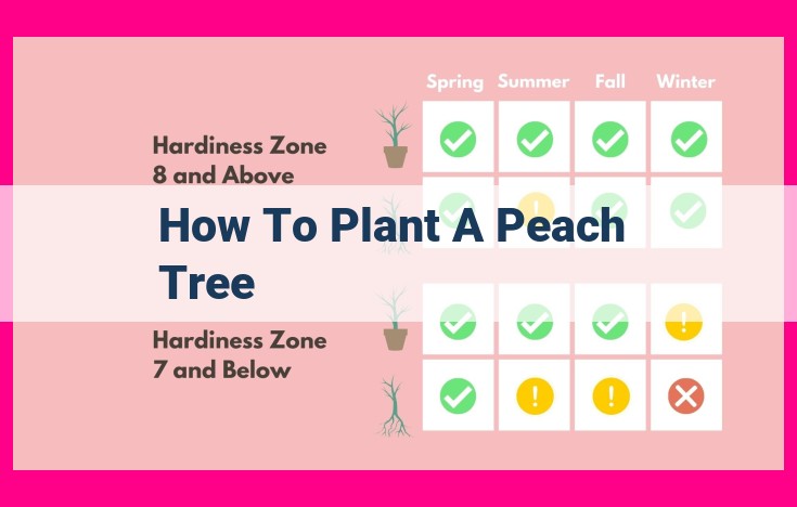 how to plant a peach tree