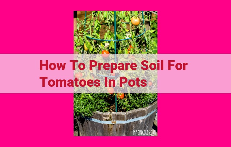 how to prepare soil for tomatoes in pots