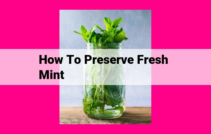 how to preserve fresh mint