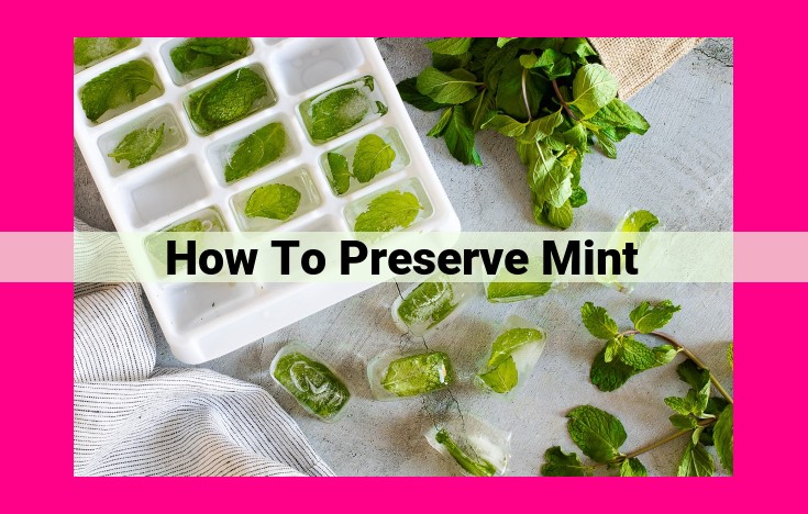 how to preserve mint