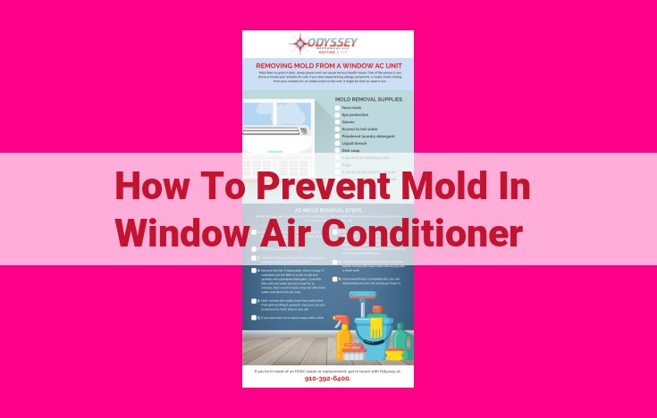 how to prevent mold in window air conditioner