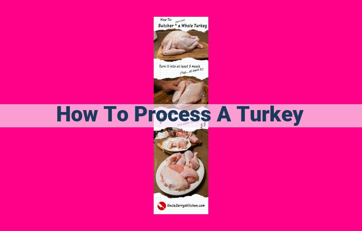 how to process a turkey