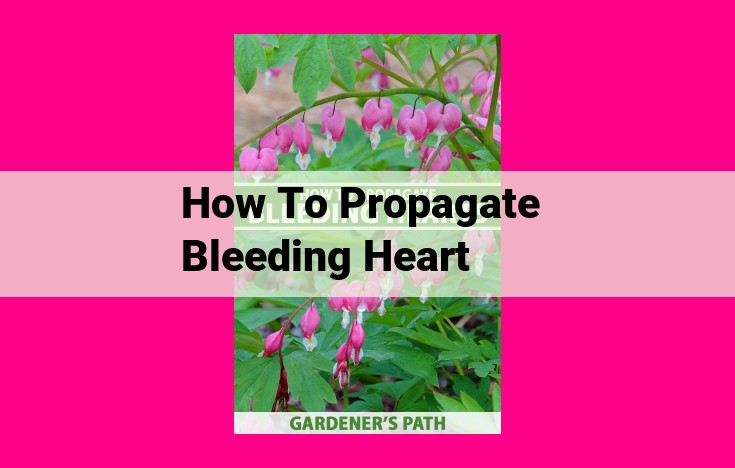 how to propagate bleeding heart