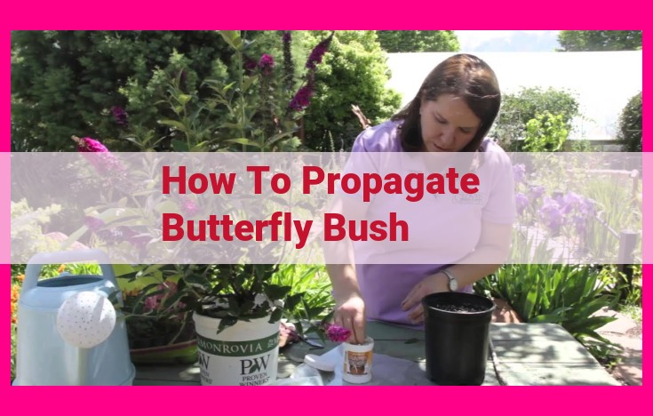 how to propagate butterfly bush