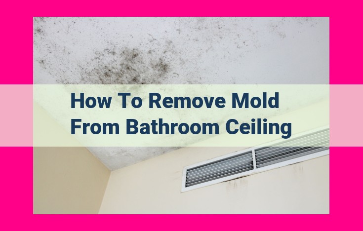 how to remove mold from bathroom ceiling