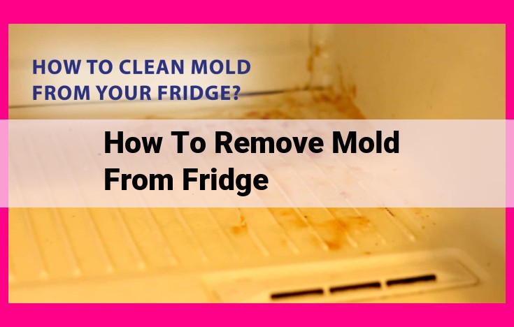 how to remove mold from fridge