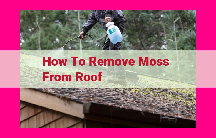 how to remove moss from roof