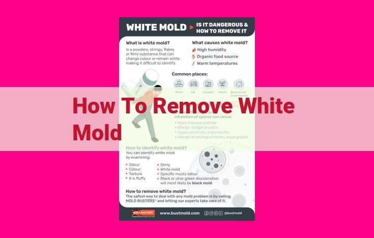 how to remove white mold