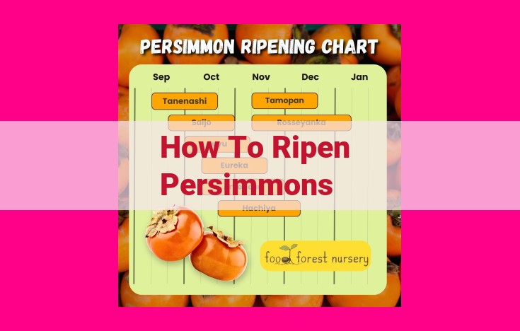 how to ripen persimmons