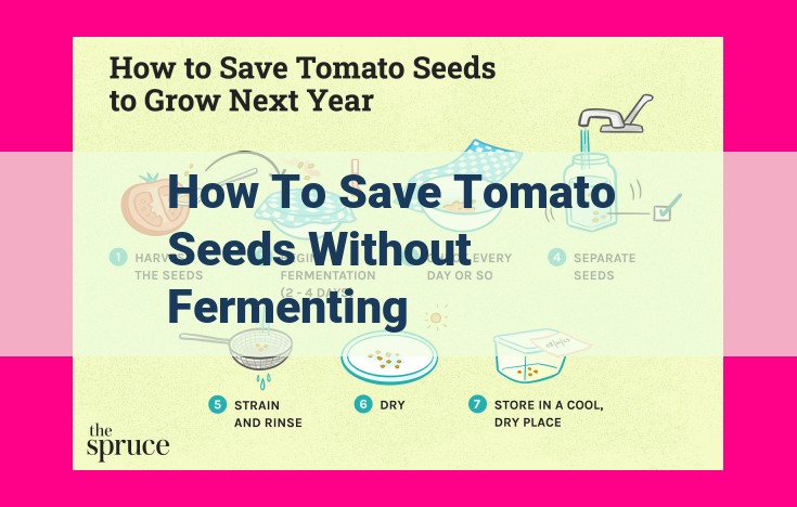 how to save tomato seeds without fermenting