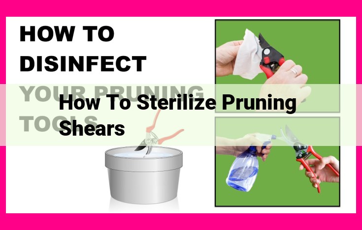 how to sterilize pruning shears