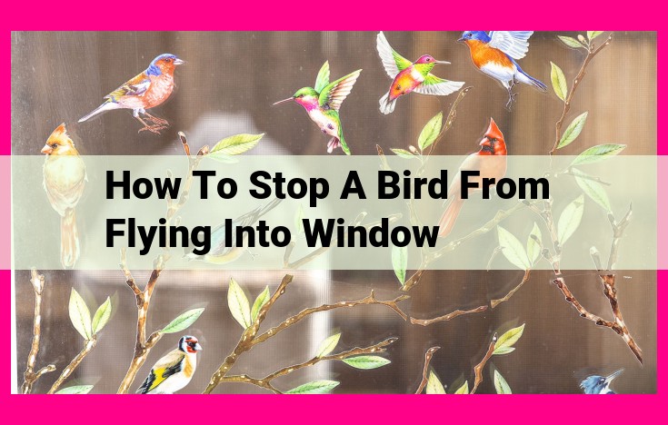 how to stop a bird from flying into window