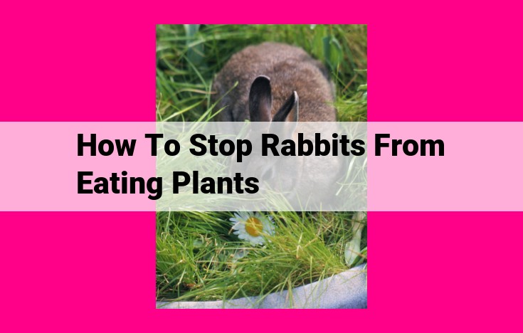 how to stop rabbits from eating plants