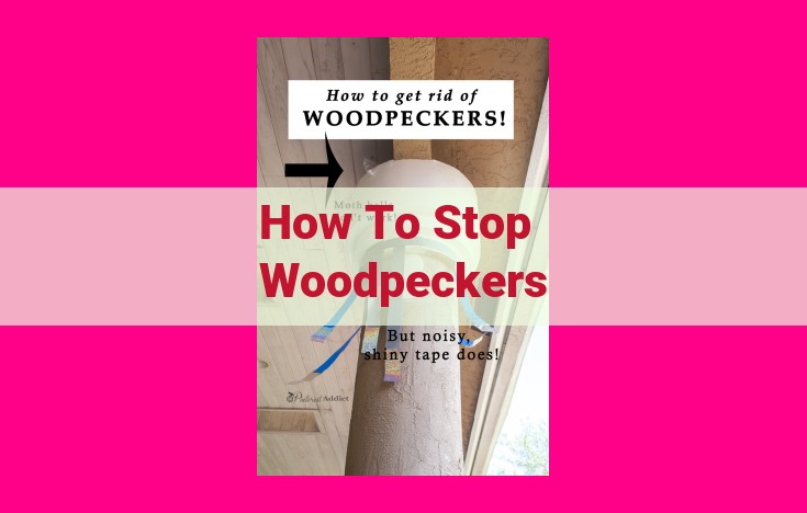 how to stop woodpeckers