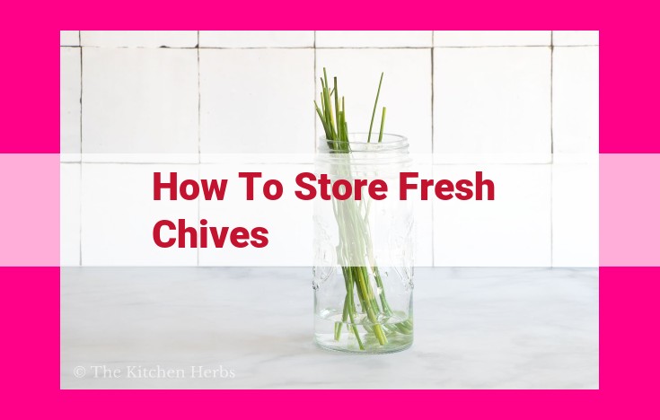 how to store fresh chives