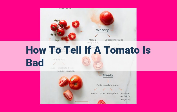 how to tell if a tomato is bad