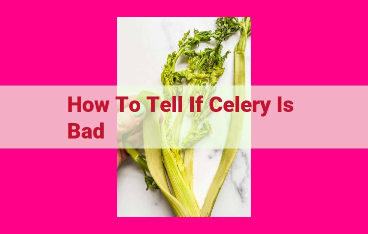 how to tell if celery is bad