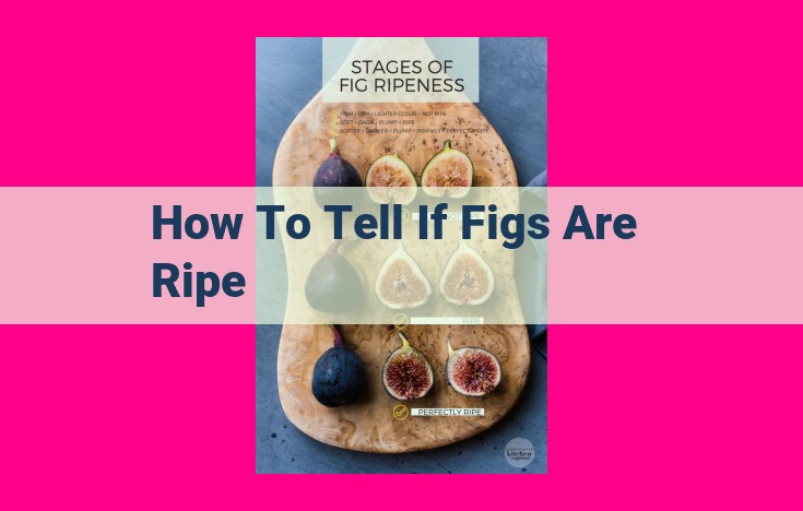 how to tell if figs are ripe