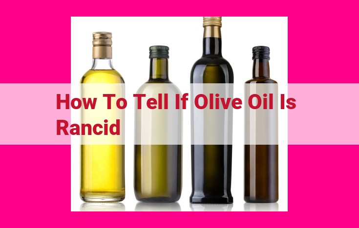 how to tell if olive oil is rancid