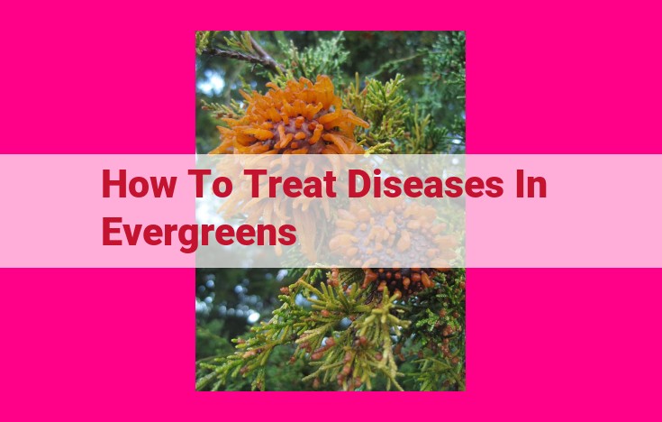 how to treat diseases in evergreens