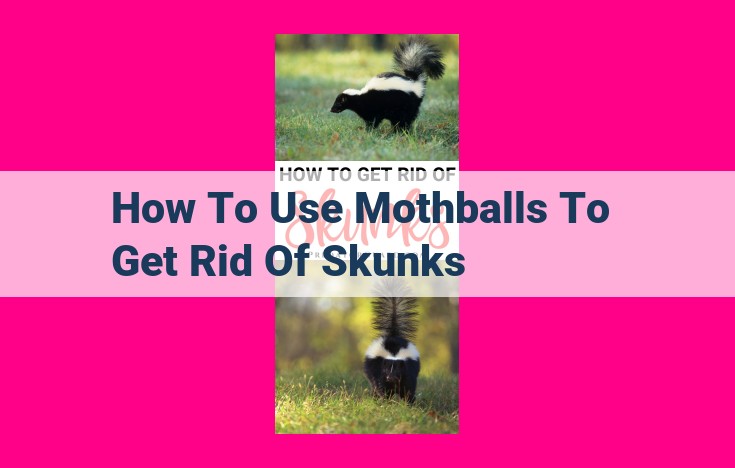 how to use mothballs to get rid of skunks