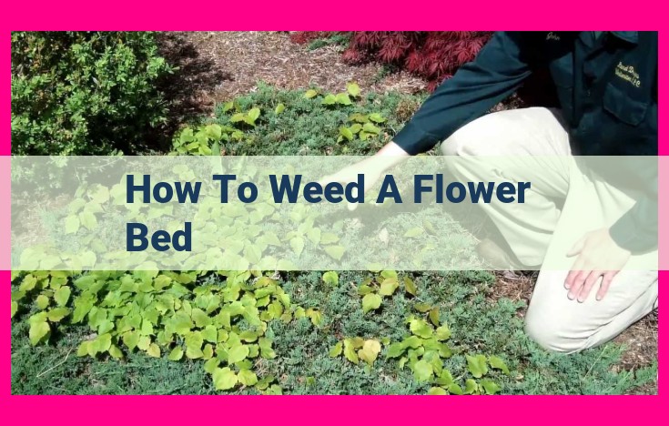 how to weed a flower bed