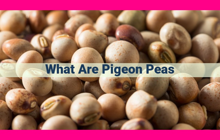 what are pigeon peas